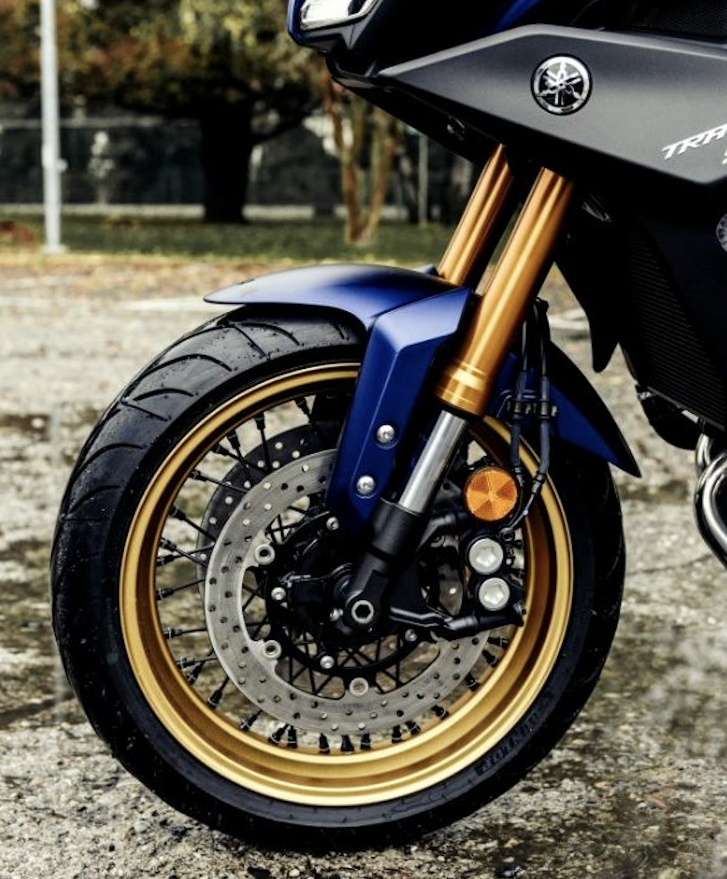 Motorcycle equipped with Pisces spoked wheels